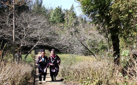 私が見たサパ（1）